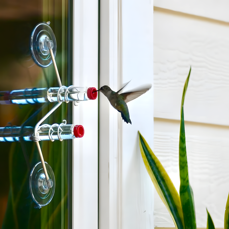 Geometric Window Hummingbird Feeder