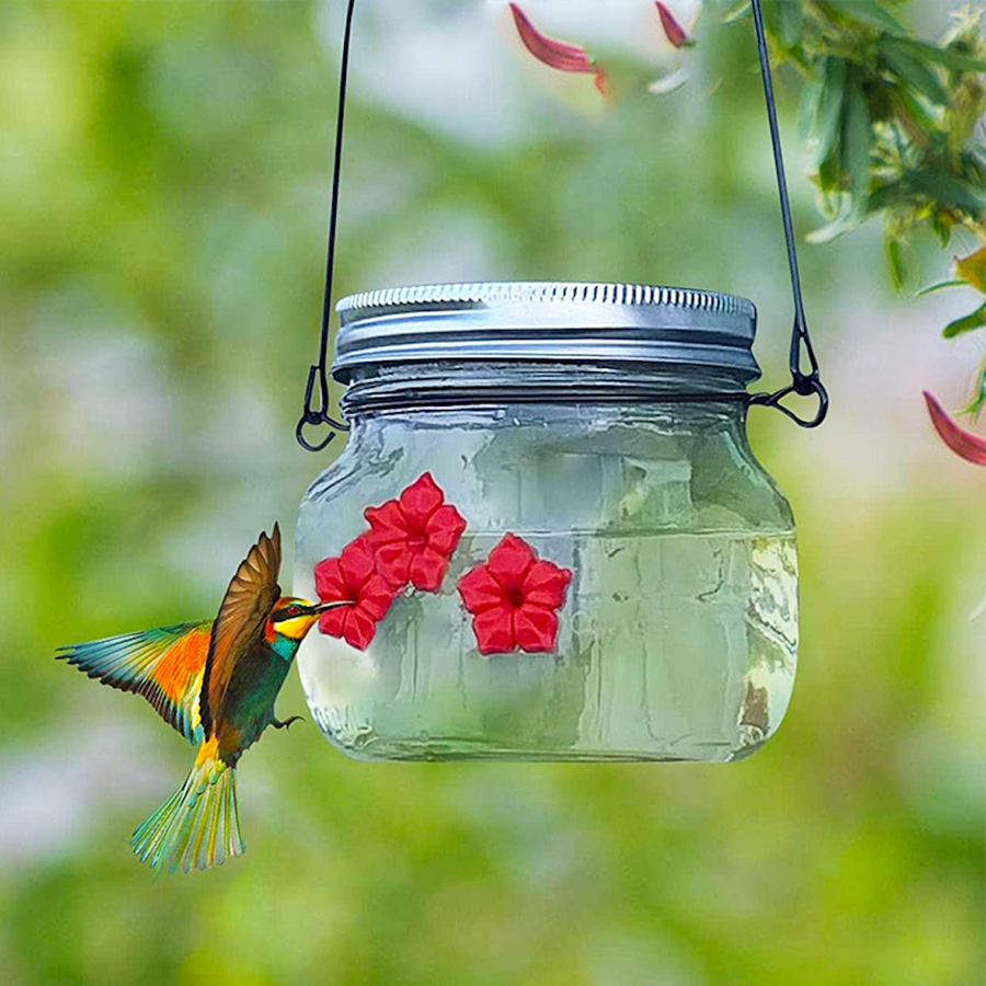 Beautiful Mason Jar Hummingbird Feeder with Three Ports