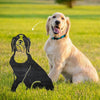 Golden Retriever Metal Silhouette