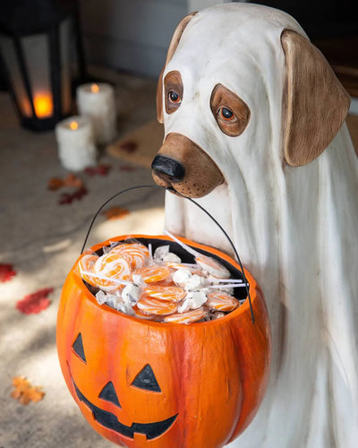 OUTDOOR GHOST DOG CANDY BOWL