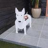 Bull Terrier Planter AP015