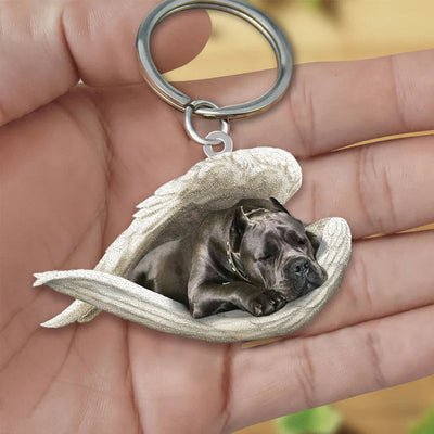 Sleeping Angel Acrylic Keychain Cane Corso