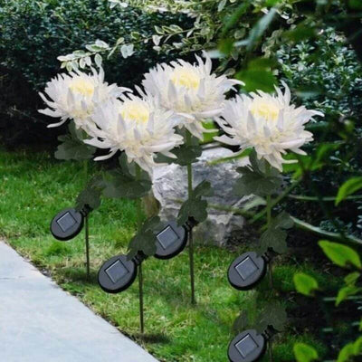 30" Chrysanthemum Solar Garden Stake LED