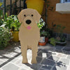 Golden Retriever Planter AP005