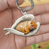 Sleeping Angel Acrylic Keychain Shar Pei SA147