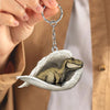 Sleeping Angel Acrylic Keychain T Rex SA250