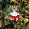 Turkish Angora Cat In Snow Pocket Christmas Ornament SP112