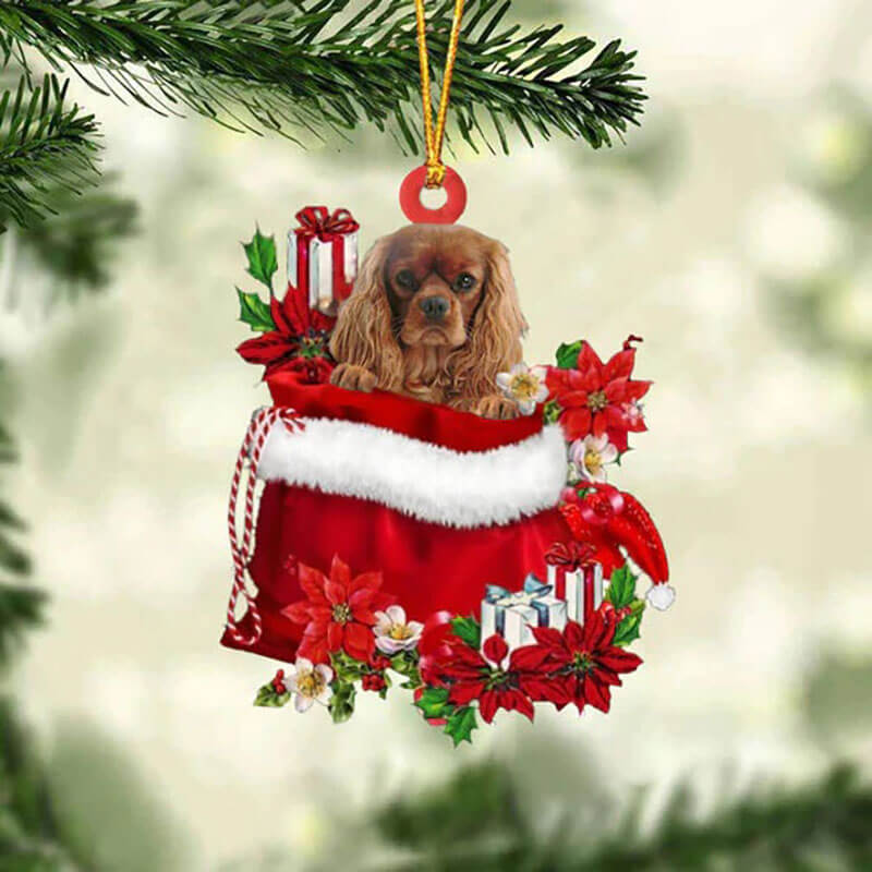 Pet In Gift Bag Ornament - Coparim