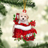 Maltipoo In Gift Bag Christmas Ornament GB006