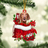 Vizsla In Gift Bag Christmas Ornament GB115