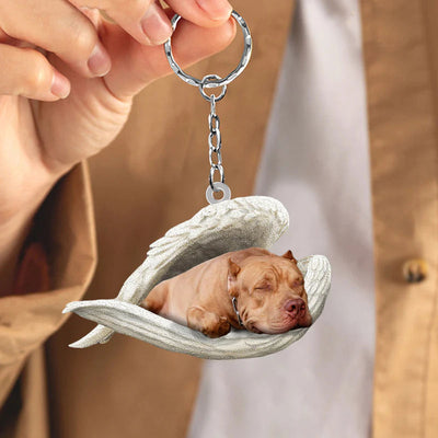 Sleeping Angel Acrylic Keychain Pit Bull