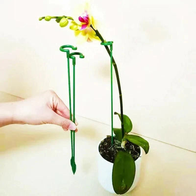 🌲 Single Stem Plant Supports(10PCS)