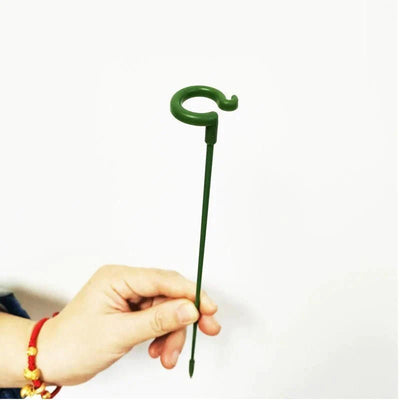 🌲 Single Stem Plant Supports(10PCS)