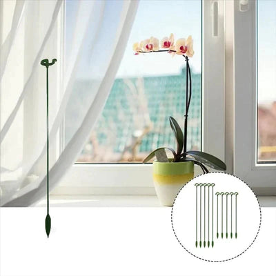 🌲 Single Stem Plant Supports(10PCS)